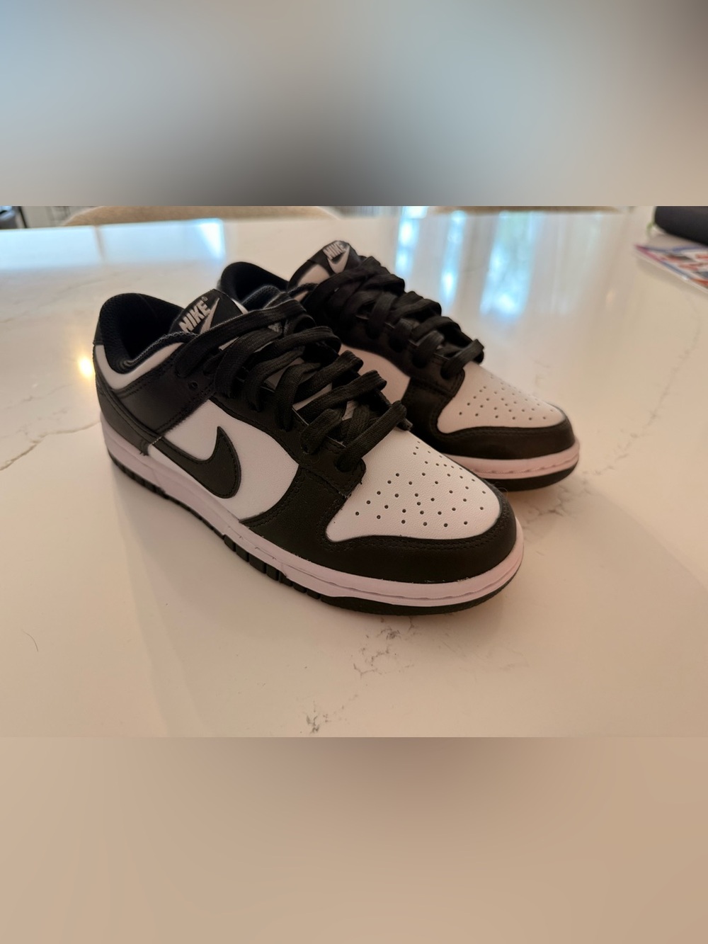 Nike Black and White Low-Top Skate Sneakers